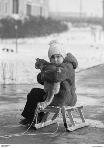 Plakat CHRIS NIEDENTHAL - Na podwórku