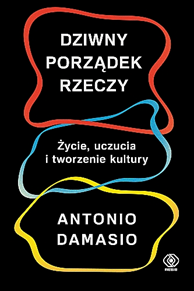 Dziwny porządek rzeczy