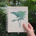 plants-plants-glasshouse2.jpg