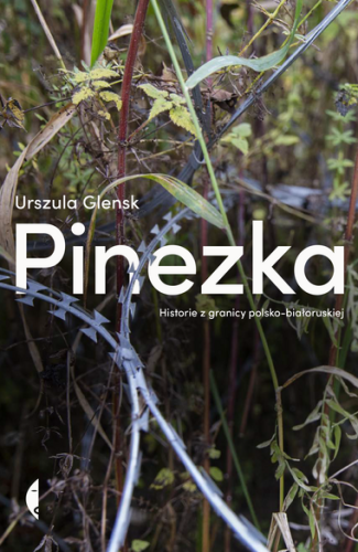 large_pinezka_x.png