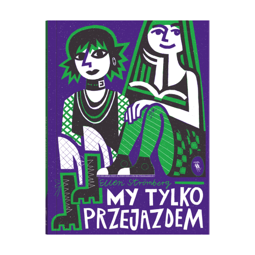 my_tylko_przejazdem.png