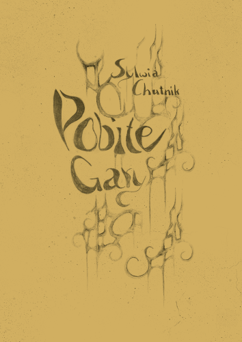 Pobite Gary_okładka online 300.png