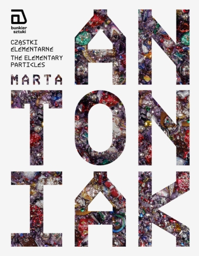 Marta Antoniak. Cząstki elementarne | The Elementary Particles