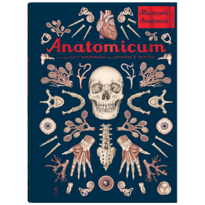 Anatomicum 